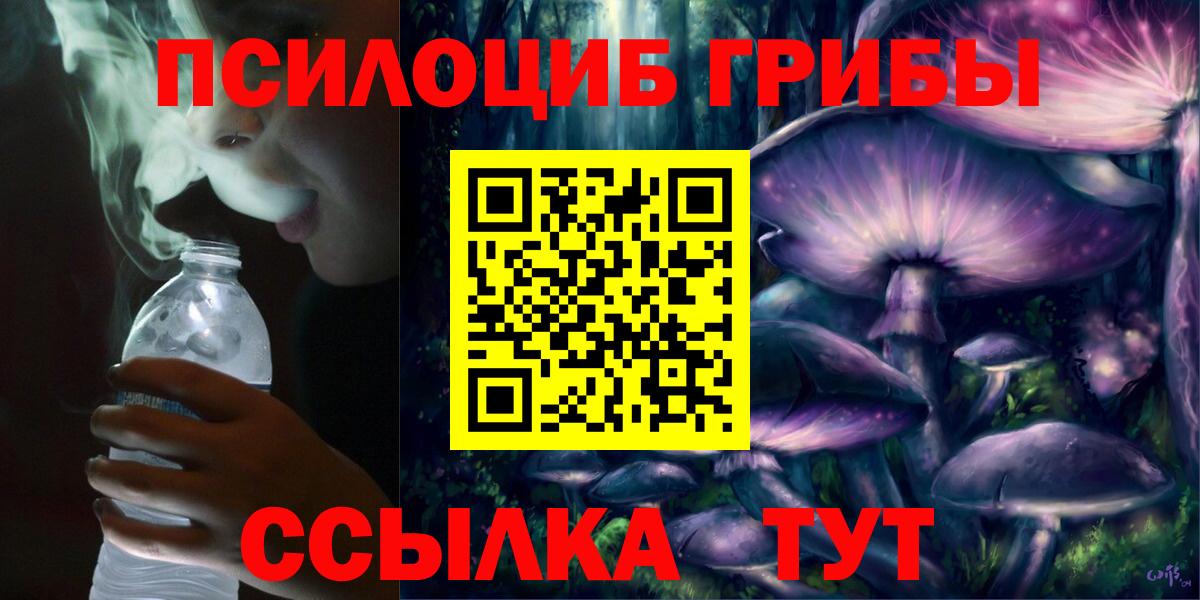Александров  Галлюциногенные грибы Psilocybe  Вход с VPN 